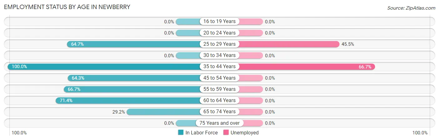 Employment Status by Age in Newberry