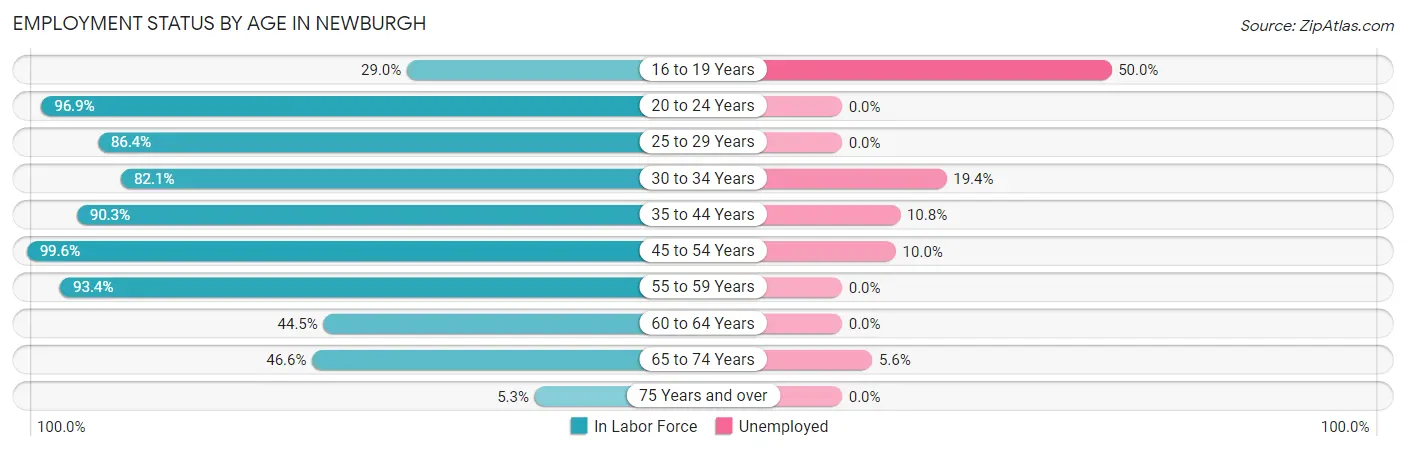 Employment Status by Age in Newburgh