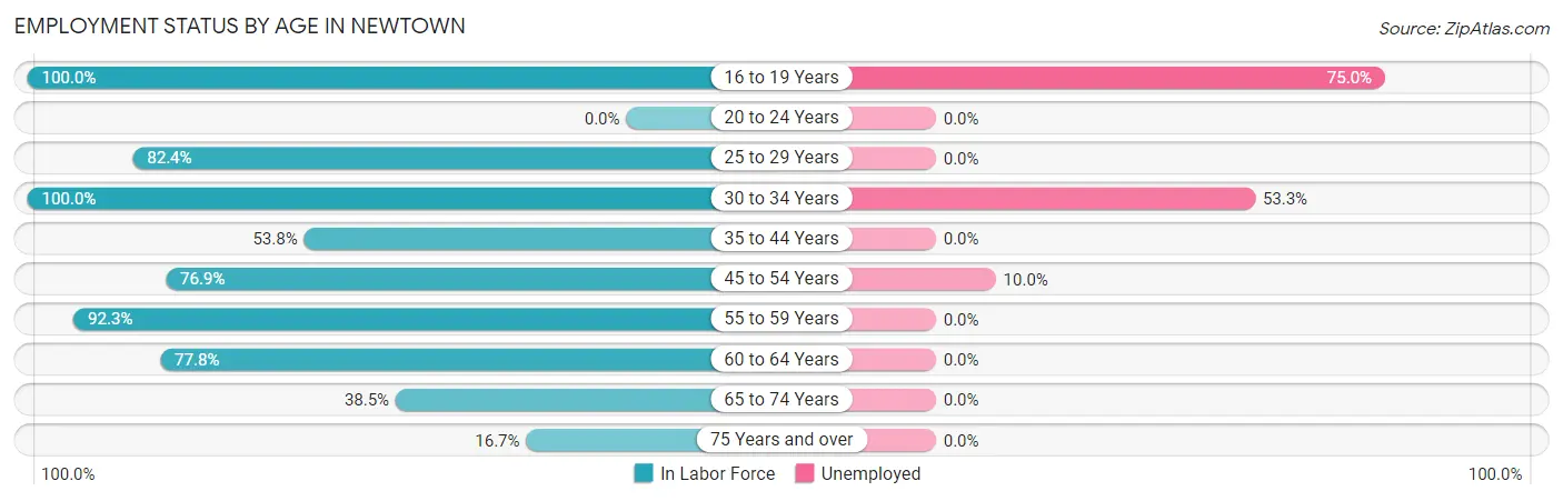 Employment Status by Age in Newtown