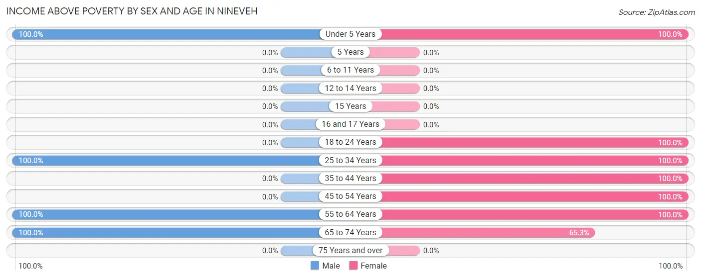 Income Above Poverty by Sex and Age in Nineveh
