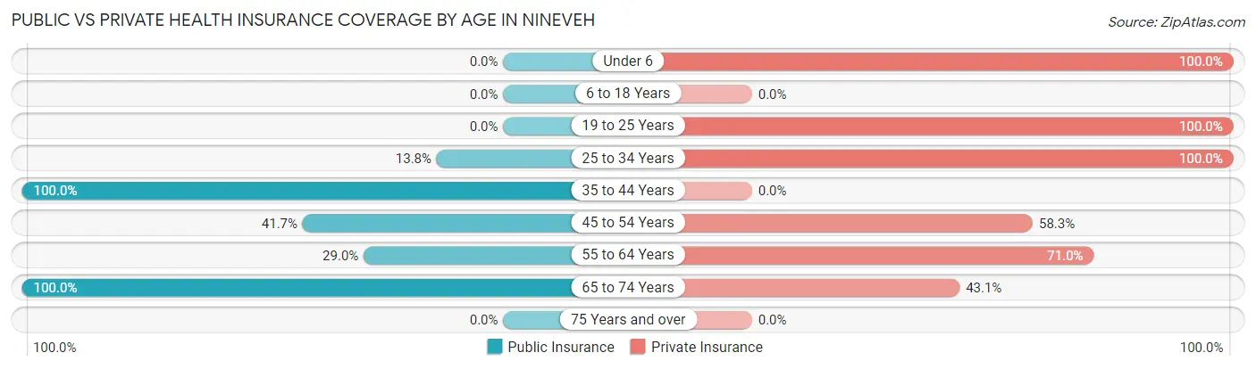 Public vs Private Health Insurance Coverage by Age in Nineveh