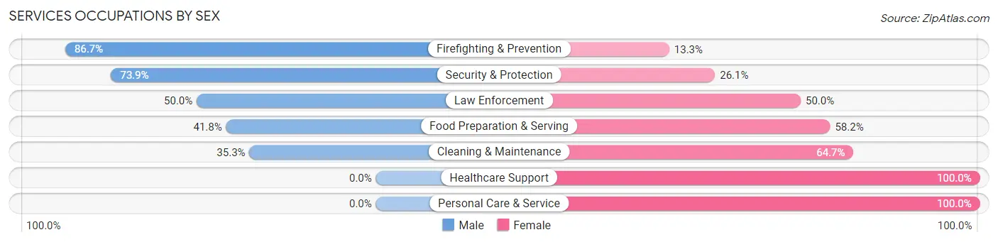 Services Occupations by Sex in North Judson
