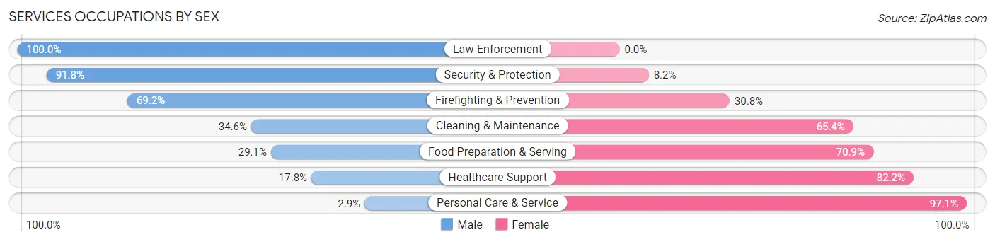 Services Occupations by Sex in North Manchester