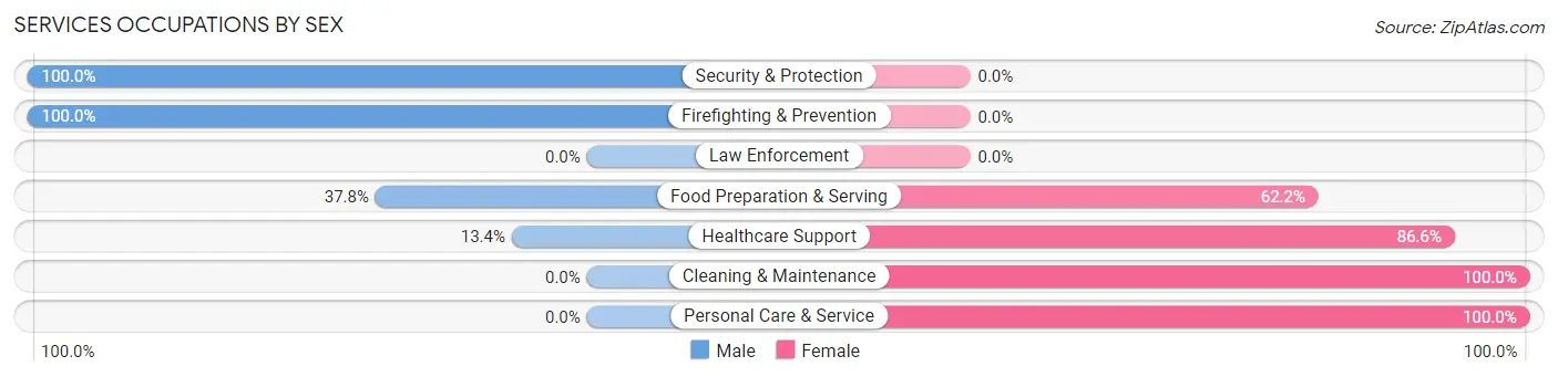 Services Occupations by Sex in Palmyra