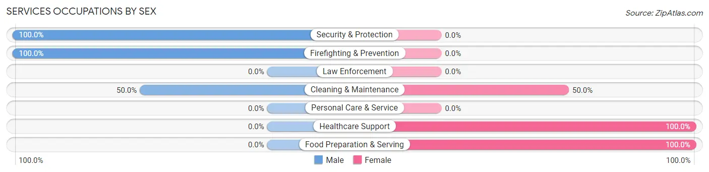 Services Occupations by Sex in Paragon