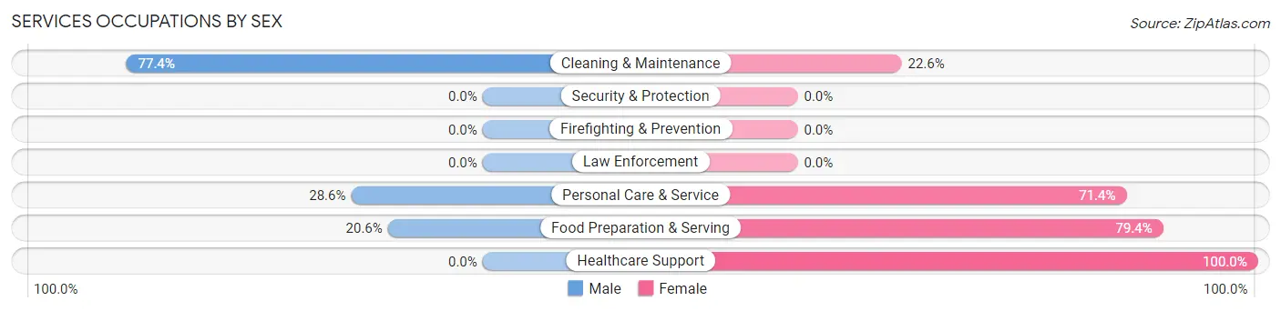 Services Occupations by Sex in Patoka
