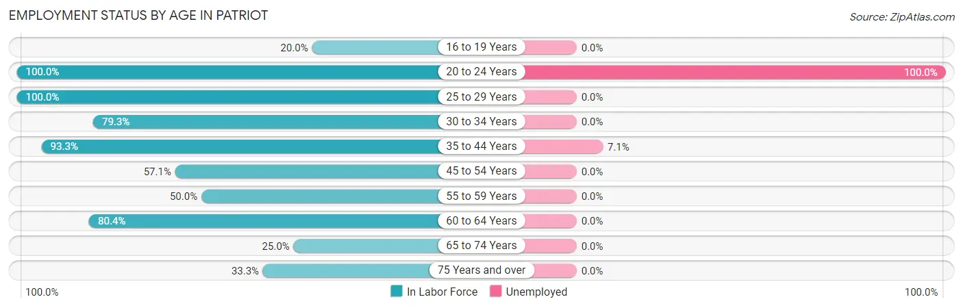 Employment Status by Age in Patriot