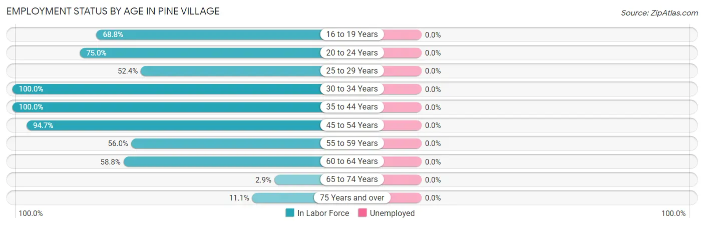 Employment Status by Age in Pine Village