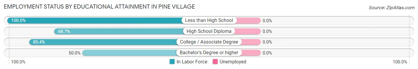 Employment Status by Educational Attainment in Pine Village