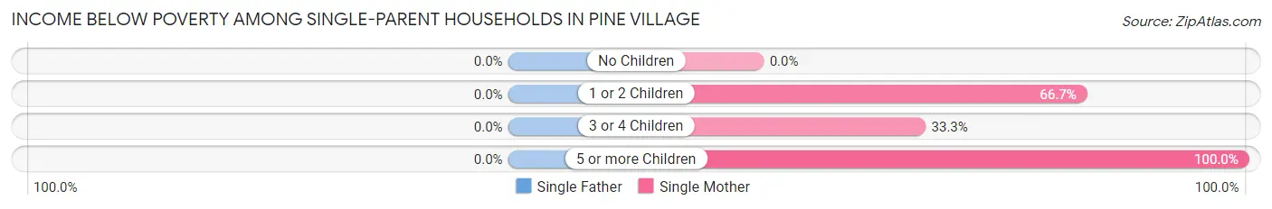 Income Below Poverty Among Single-Parent Households in Pine Village