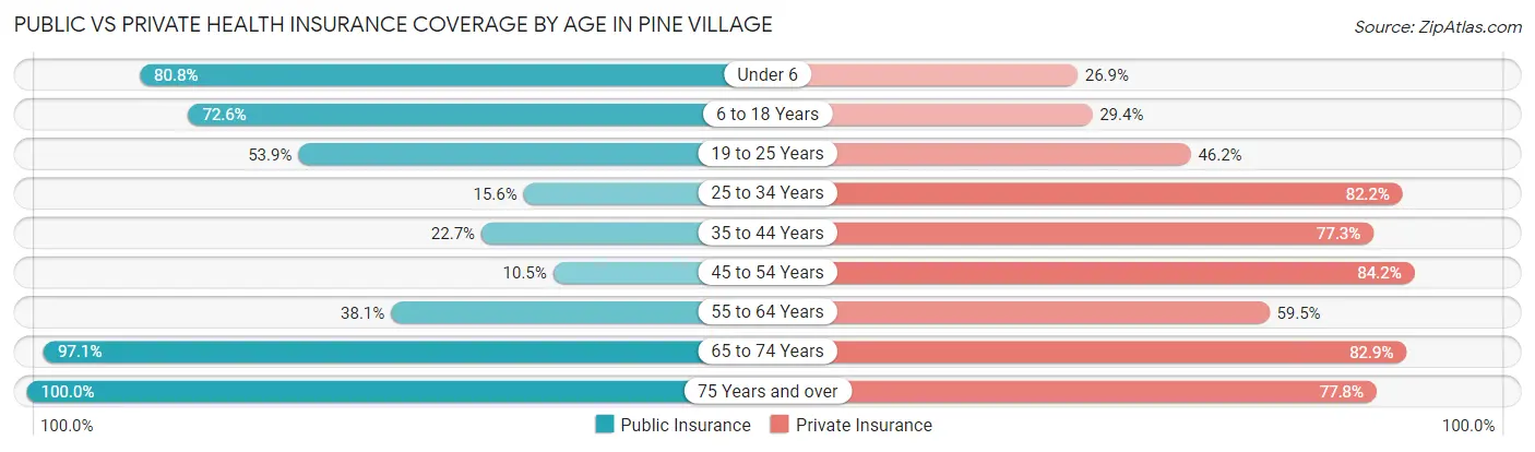 Public vs Private Health Insurance Coverage by Age in Pine Village