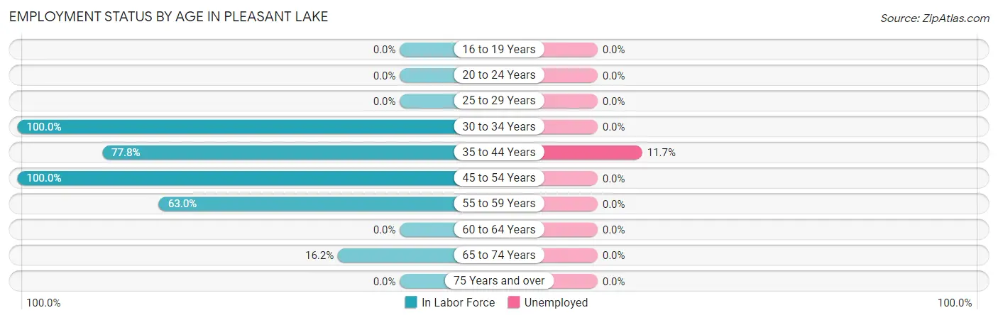 Employment Status by Age in Pleasant Lake