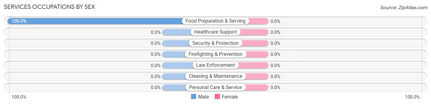 Services Occupations by Sex in Pleasant Lake