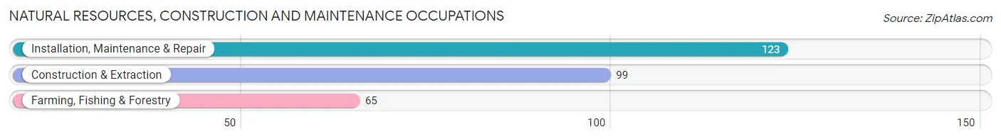 Natural Resources, Construction and Maintenance Occupations in Portland