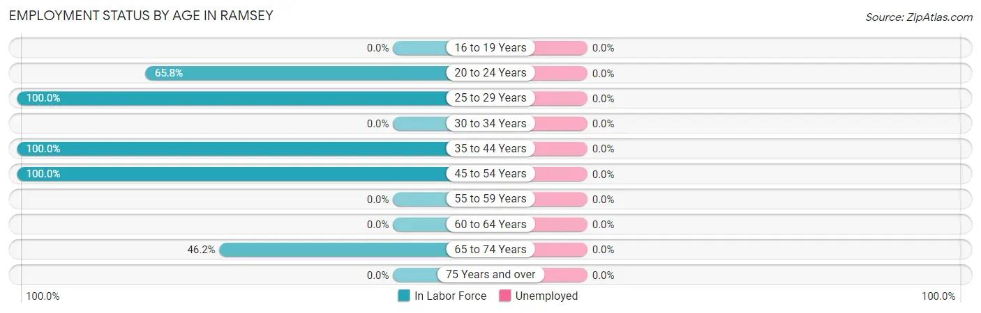 Employment Status by Age in Ramsey