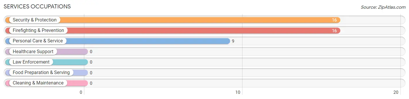 Services Occupations in Ramsey