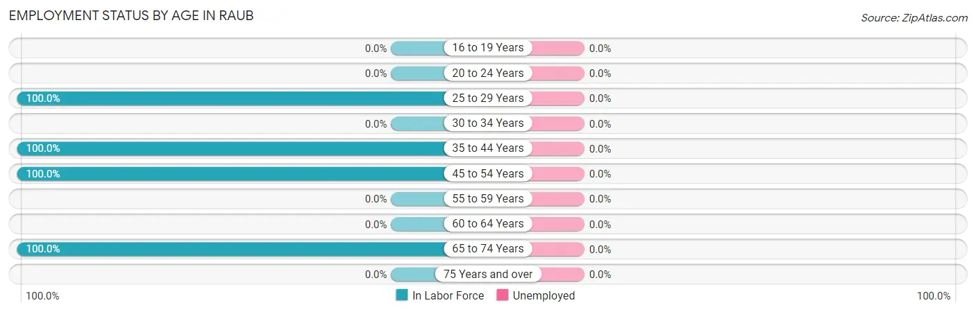 Employment Status by Age in Raub