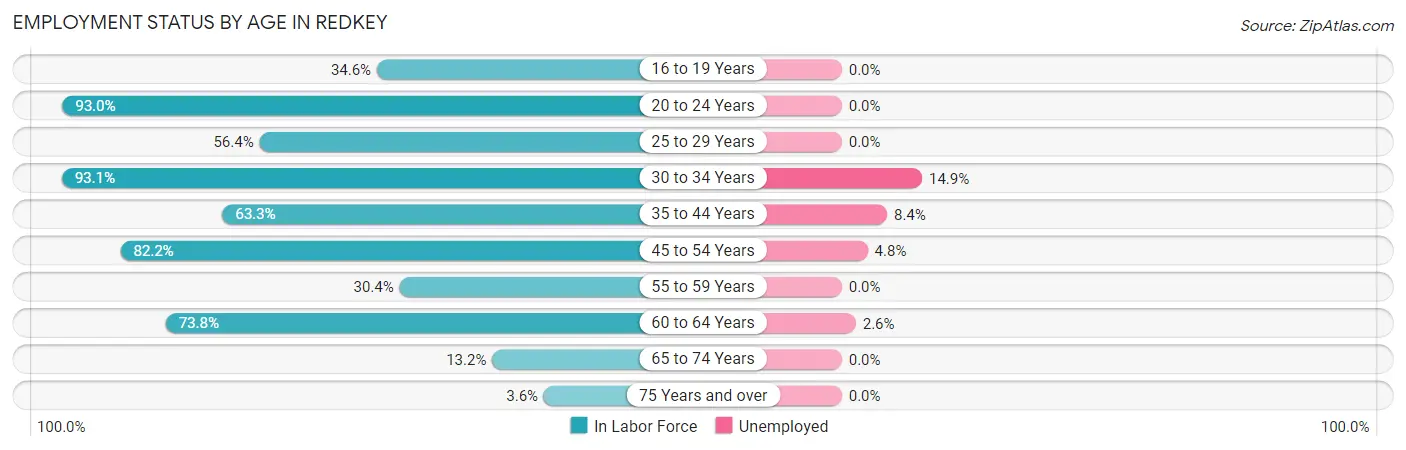 Employment Status by Age in Redkey