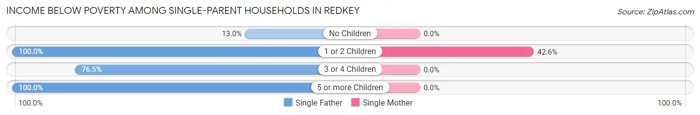 Income Below Poverty Among Single-Parent Households in Redkey