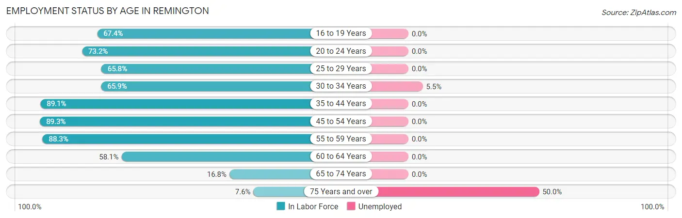 Employment Status by Age in Remington
