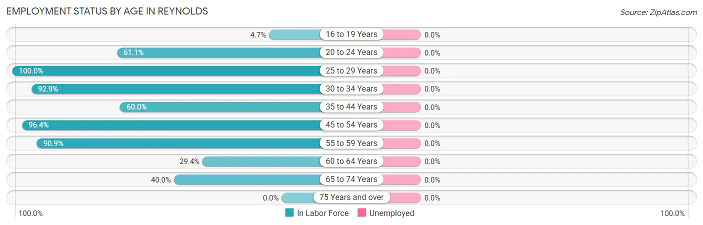 Employment Status by Age in Reynolds