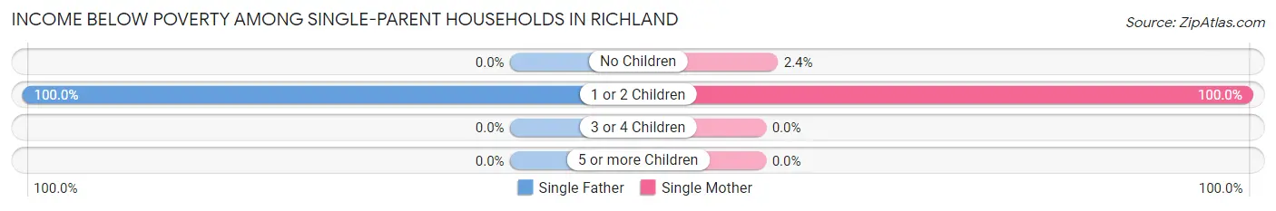 Income Below Poverty Among Single-Parent Households in Richland