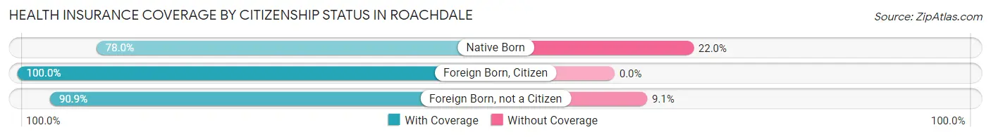 Health Insurance Coverage by Citizenship Status in Roachdale