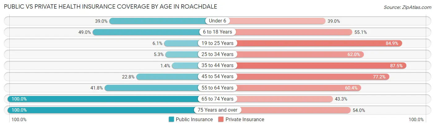 Public vs Private Health Insurance Coverage by Age in Roachdale