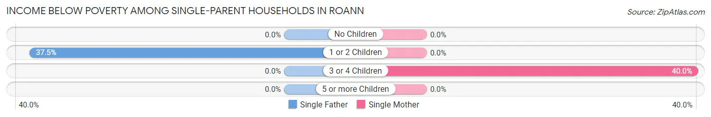 Income Below Poverty Among Single-Parent Households in Roann