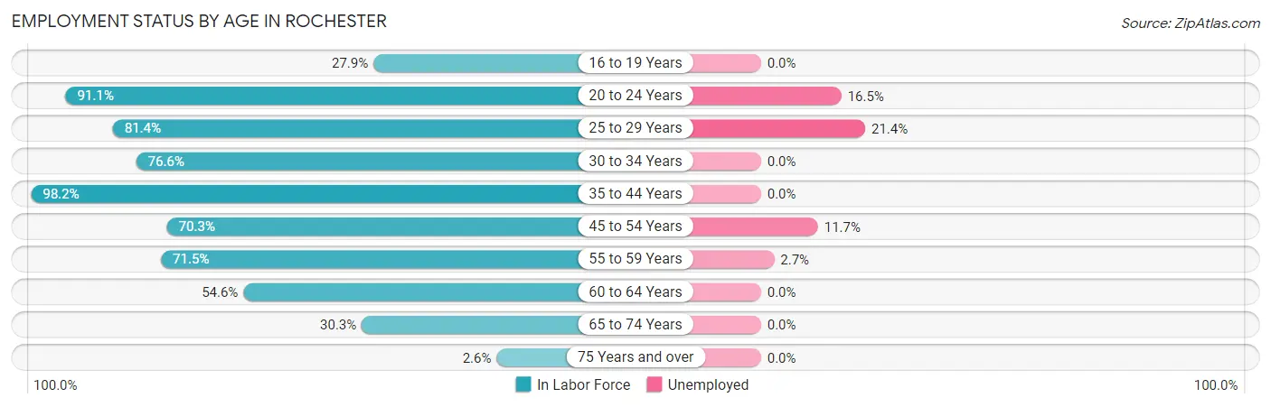 Employment Status by Age in Rochester