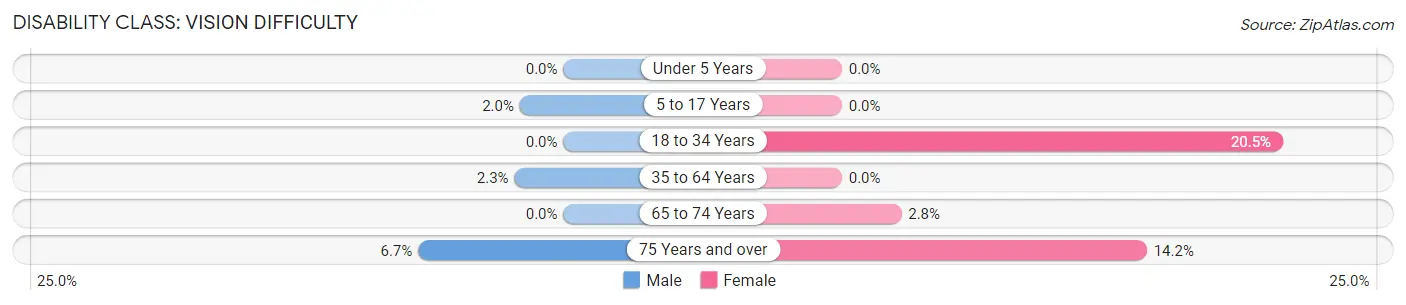 Disability in Rochester: <span>Vision Difficulty</span>