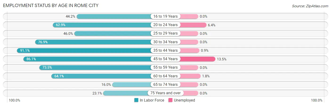 Employment Status by Age in Rome City