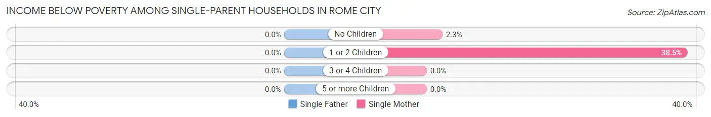 Income Below Poverty Among Single-Parent Households in Rome City