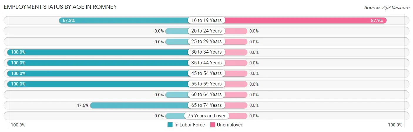 Employment Status by Age in Romney