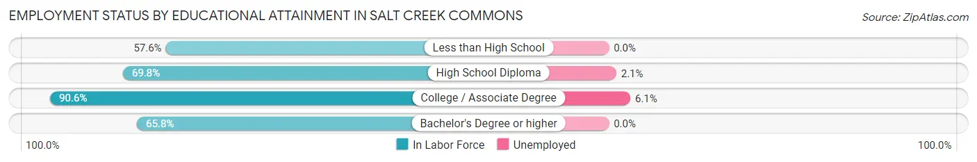 Employment Status by Educational Attainment in Salt Creek Commons