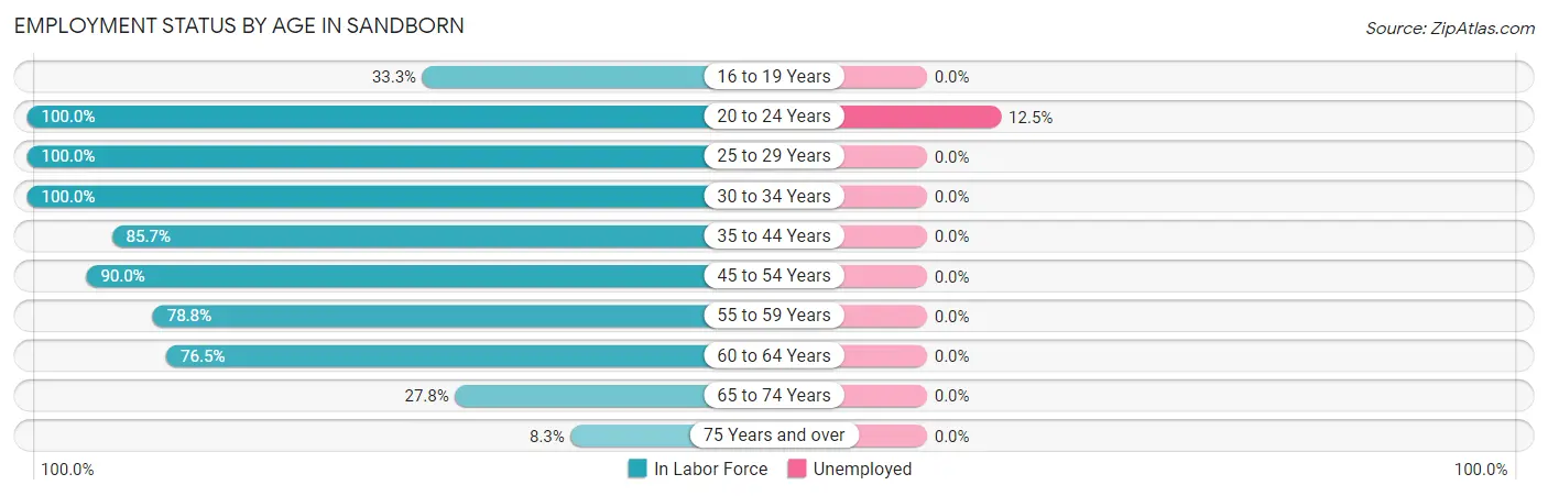 Employment Status by Age in Sandborn