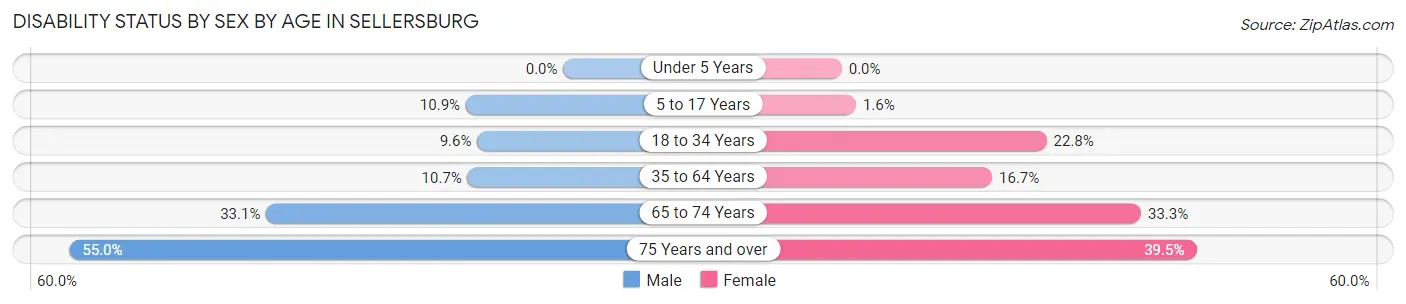 Disability Status by Sex by Age in Sellersburg