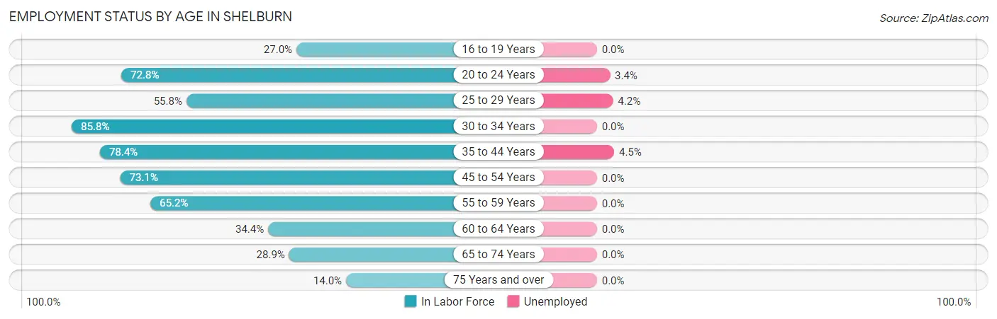 Employment Status by Age in Shelburn
