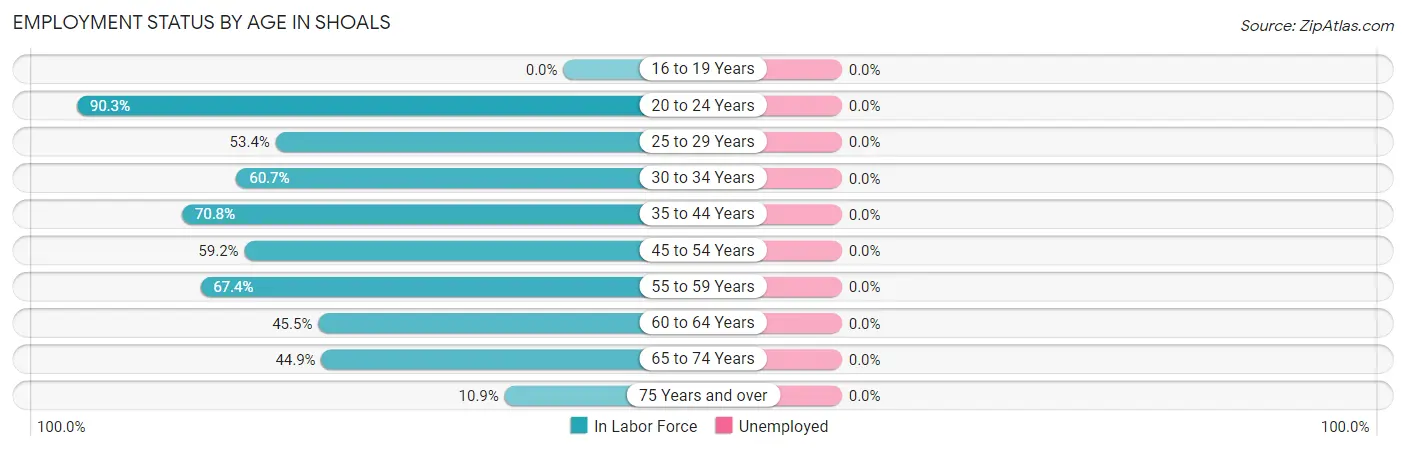 Employment Status by Age in Shoals