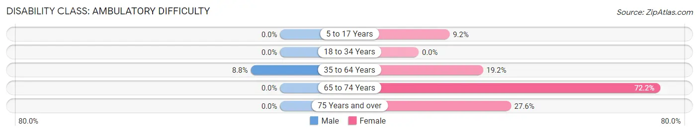 Disability in Spiceland: <span>Ambulatory Difficulty</span>