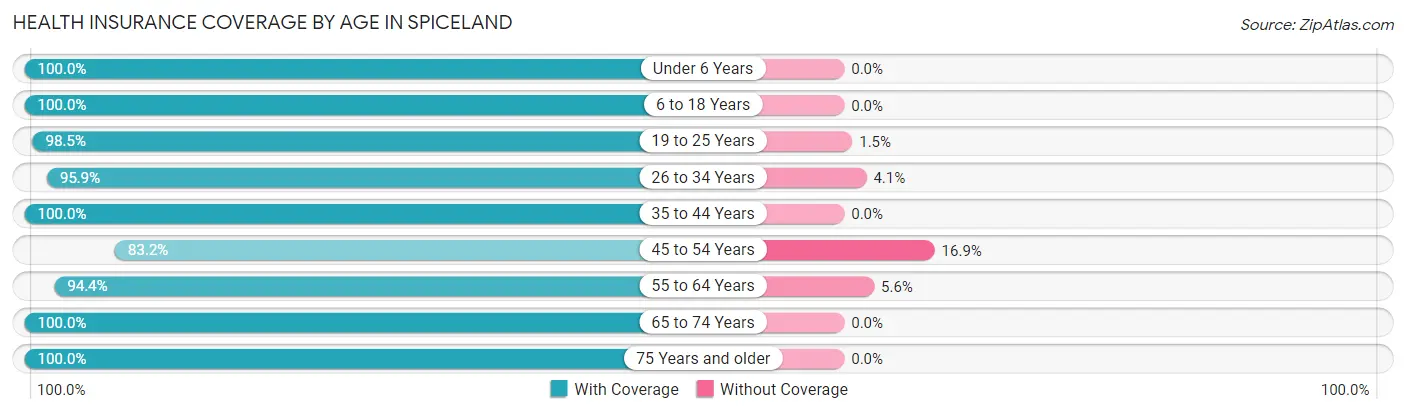 Health Insurance Coverage by Age in Spiceland