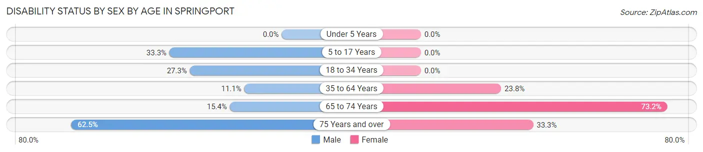 Disability Status by Sex by Age in Springport