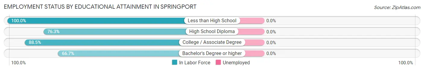 Employment Status by Educational Attainment in Springport