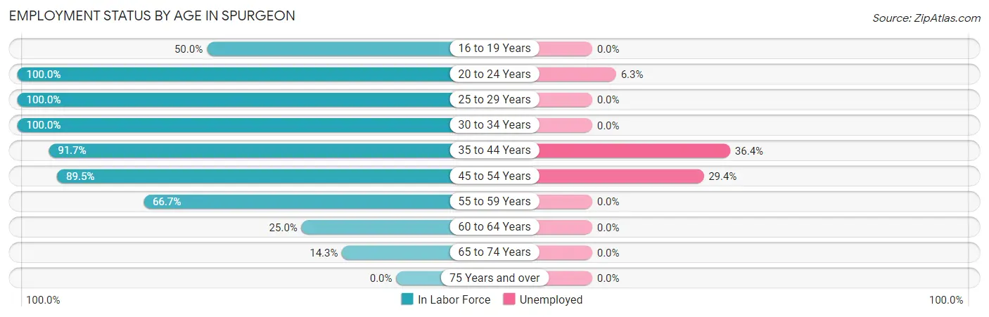 Employment Status by Age in Spurgeon