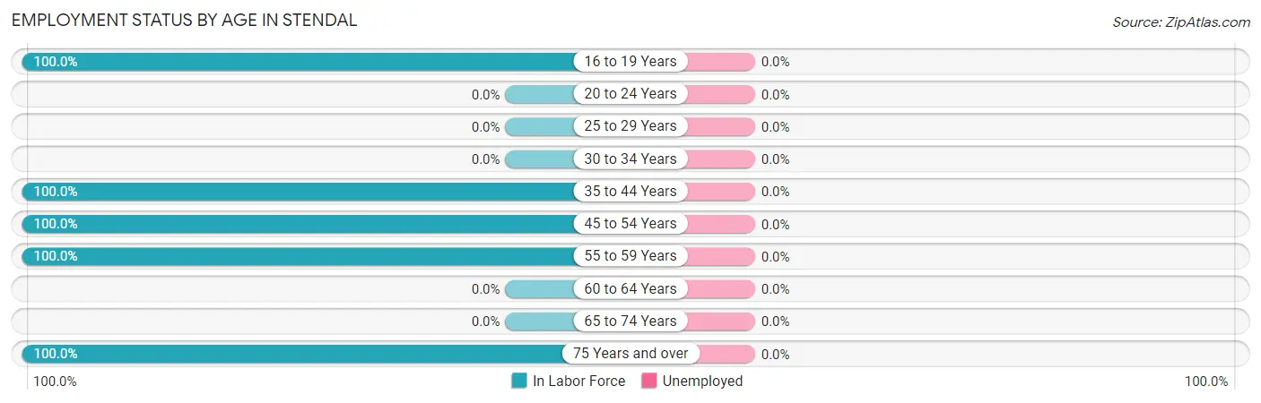 Employment Status by Age in Stendal