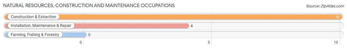 Natural Resources, Construction and Maintenance Occupations in Stockwell