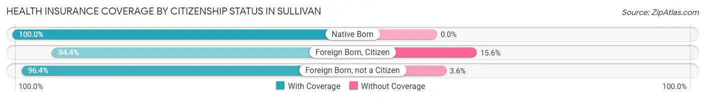 Health Insurance Coverage by Citizenship Status in Sullivan