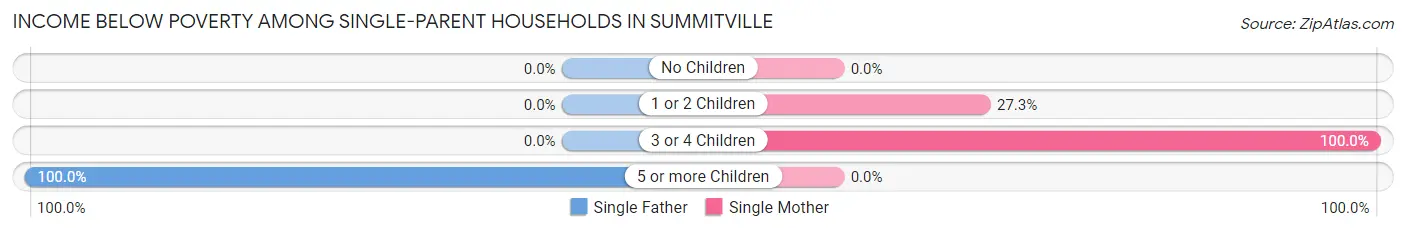 Income Below Poverty Among Single-Parent Households in Summitville
