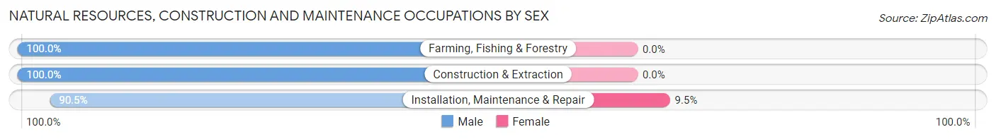 Natural Resources, Construction and Maintenance Occupations by Sex in Summitville