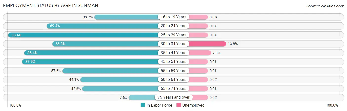 Employment Status by Age in Sunman